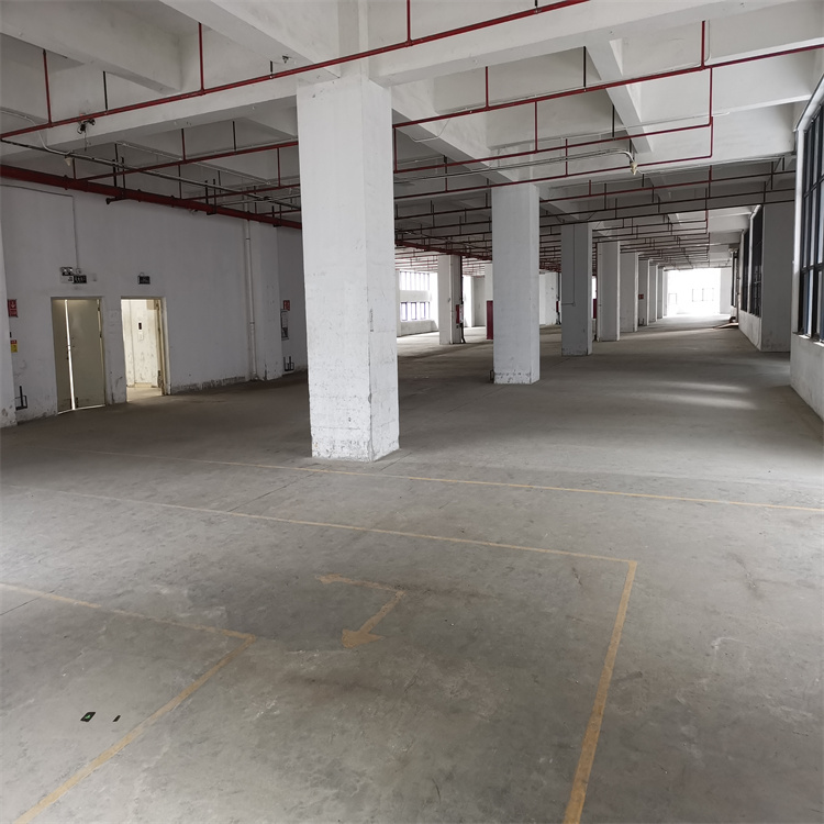 1666940469755562.jpg 750x750照片71.jpg